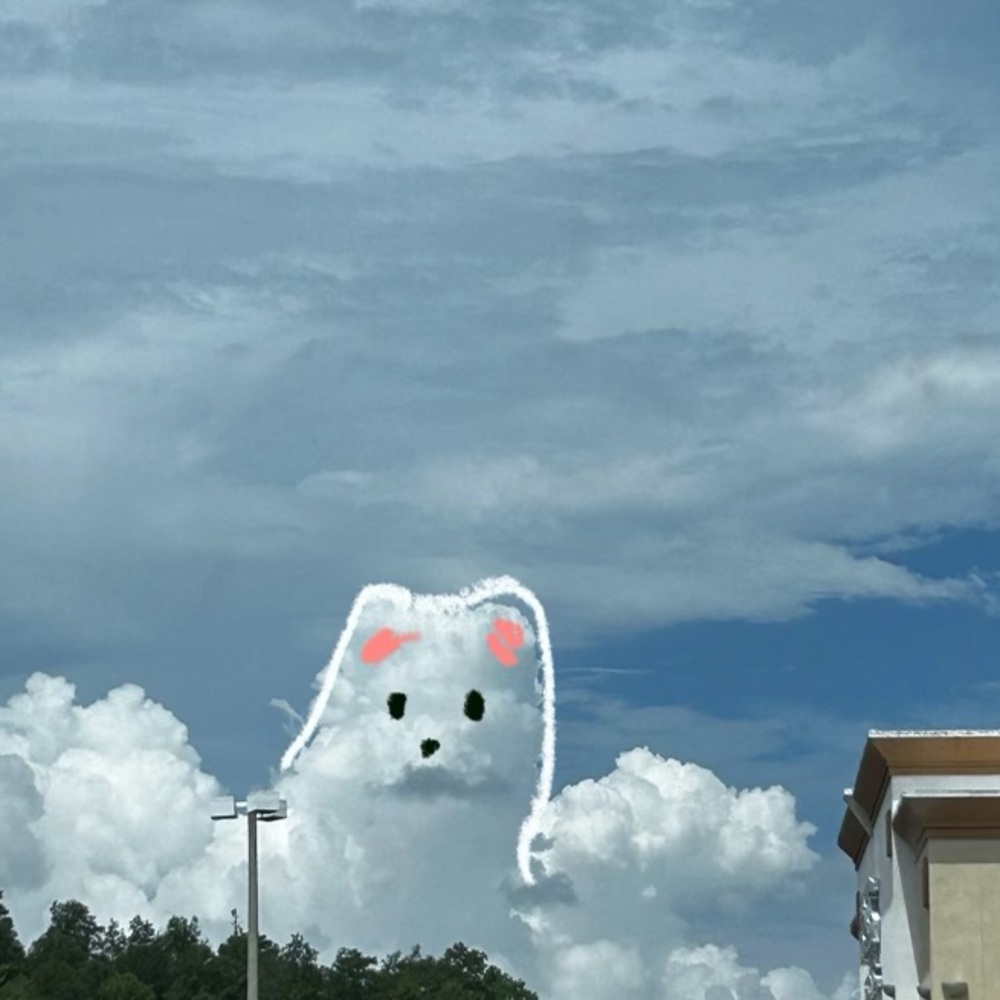 Meet your Posher, Marshmallow143 🌸